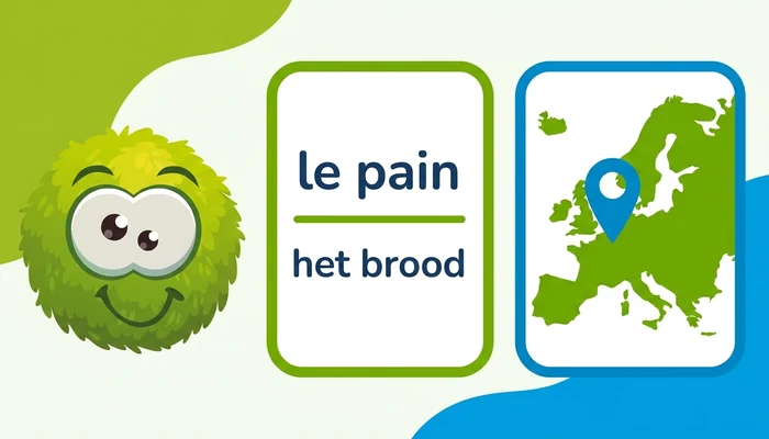 Wat je ermee kan leren